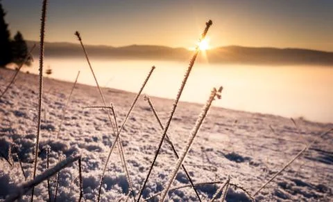 Cold winter sunset Stock Photos