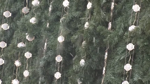 Cold winter weather. Christmas tree. Stock Footage 300760664