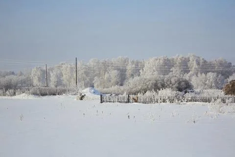 Cold winter weather fields nature lots of snow, everything is frozen Stock Photos