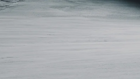 Cold winter wind blows snow with icy snow on the background. Tripod shot. Stock Footage 94060858