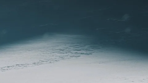 Cold winter wind blows snow with icy snow on the background. Tripod shot. Stock Footage 94061660