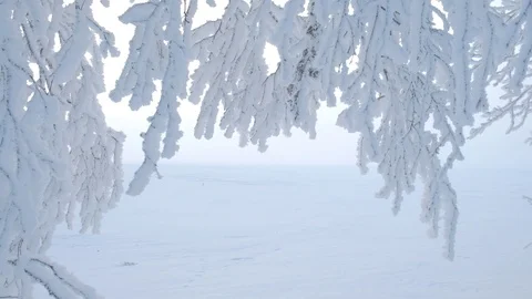 Cold winter. Winter nature of the North Stock Footage 121567044