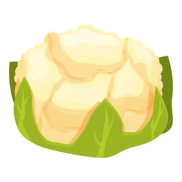 Cole cauliflower icon cartoon vector. Cabbage food Stock Illustration