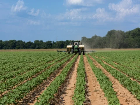 Colfax Louisana cotton fields rows of cotton farming with tractor spraying 動画素材 75688088