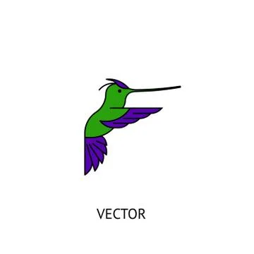 Colibri bird icon Stock Illustration