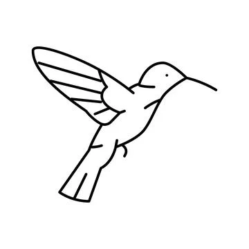 Colibri bird line icon vector illustration Illustrazione stock