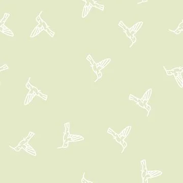 Colibri bird line seamless pattern Illustrazione stock
