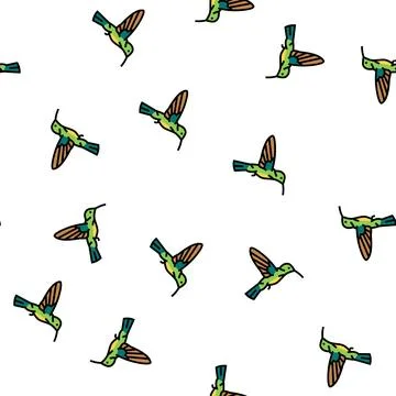 Colibri bird vector seamless pattern イラスト素材