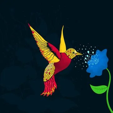 Colibri Stock Photos