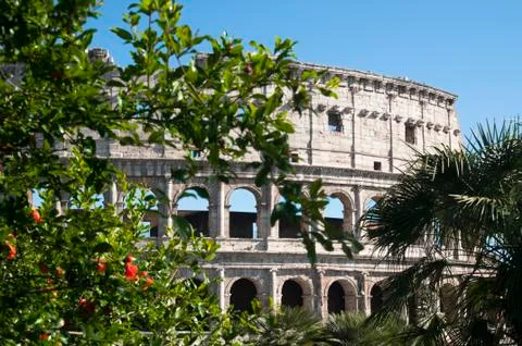 Coliseum during the day Stock Photos