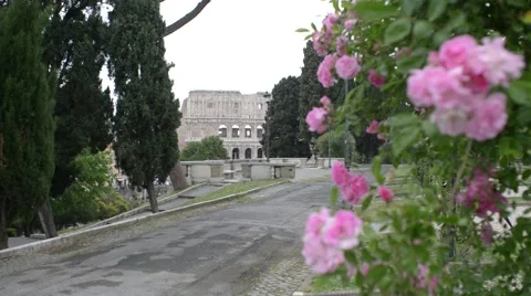 Coliseum in spring - Rome, Italy Stock Footage 63063963
