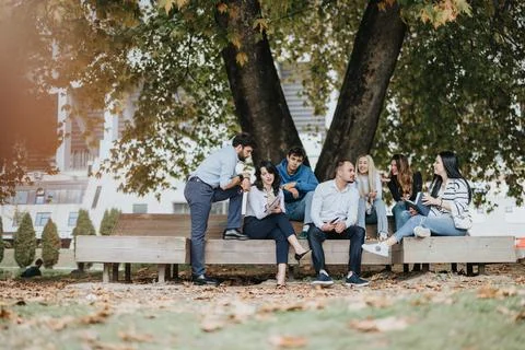 Collaborative Learning. Students Achieving Goals Together in a Park. Stock Photos