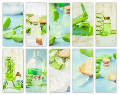 Collage Aloe Vera extract in a small bottle and pieces on the table. Stock Photos
