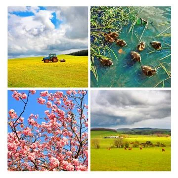 Collage of beautiful springtime scenes Stock Photos