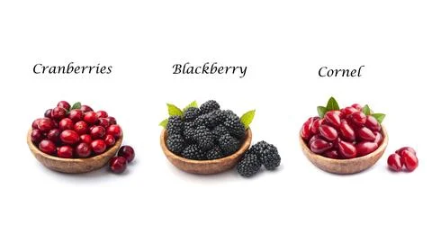 Collage of  berry Stock Photos