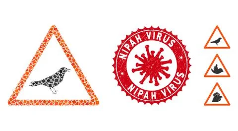 Collage Bird Warning Icon of Uneven Parts with Coronavirus Distress Nipah Virus Stock Illustration