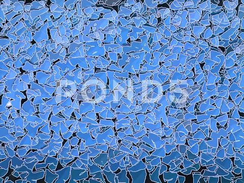 Collage with blue leaves Stock Illustration