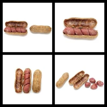 Collage of boiled peanuts Stock Photos