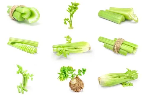 Collage of celery isolated on a white background Stock Photos