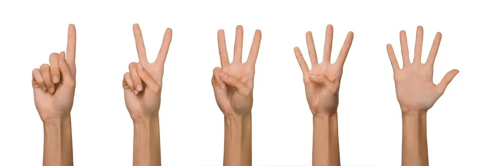 Collage Collection of Isolated Empty open woman female hand in a position of  Stock Photos