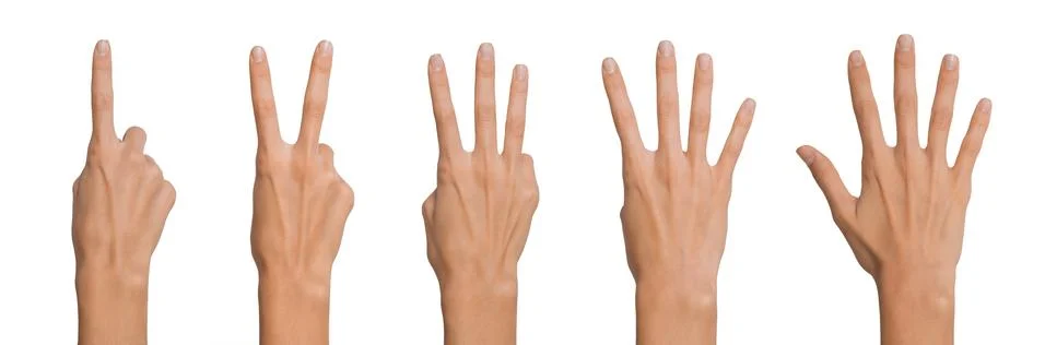 Collage Collection of Isolated Empty open woman female hand in a position of  Stock Photos