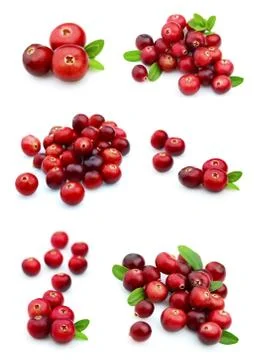 Collage from cranberry Stock Photos
