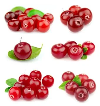 Collage from cranberry Foto stock