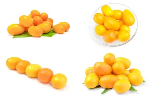 Collage of cumquats over a white background Stock Photos