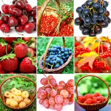 Collage of different berries 스톡 사진