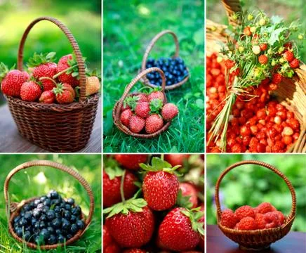 Collage of different berries Stock Photos