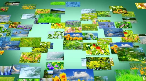 A collage of different natural scenery. Stock Footage 39505639