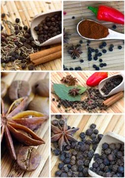 Collage of different spices Stock Photos
