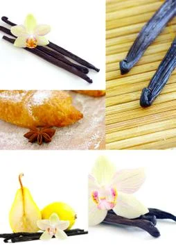 Collage of different spices Foto stock