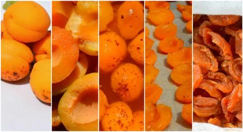 Collage of dried apricots. Technology of preparation of candied apricots Stock Photos