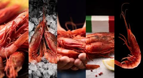 Collage of fish with Red King Prawns Stock Photos