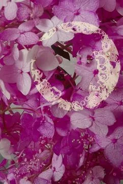 Collage of flowers and frames for postcards, invitations, websites. Stock Photos
