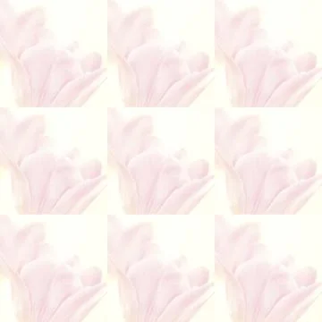 Collage flowers Stock Photos