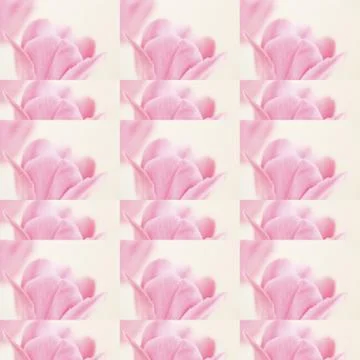 Collage flowers Stock Photos