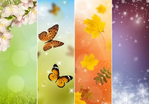 Collage of four seasons Stock Illustration