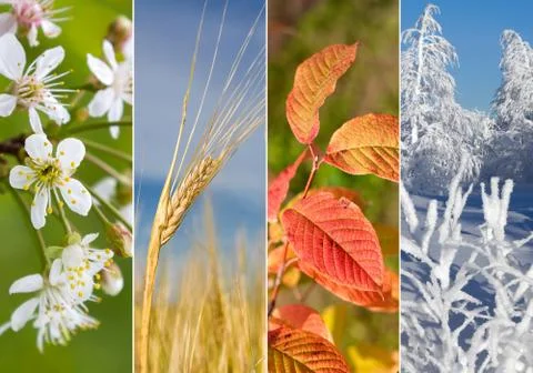 Collage of four seasons Stock Photos