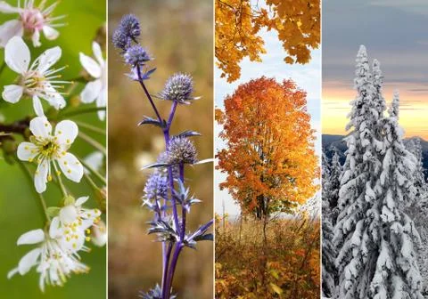 Collage of four seasons Stock Photos