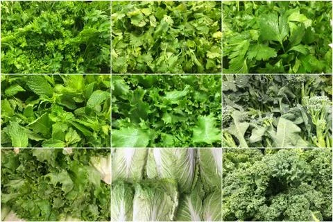 Collage of green vegetables background Stock Photos