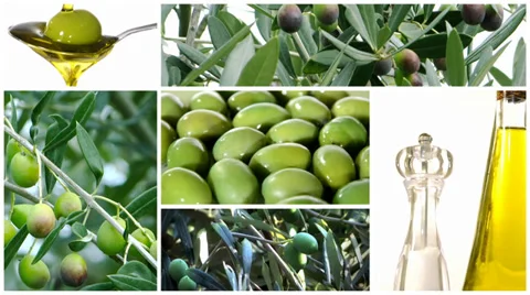 Collage including olive tree, olives rotating close up and olive oil on a spoon Video stock 34099148