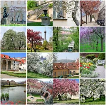 Collage of landmarks in spring prague Stock Photos