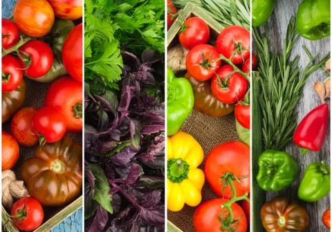 Collage made from different colored fresh vegetables Foto stock