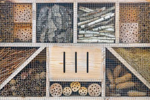 Collage with many elements of various green plants. cones, branches and bark Foto stock