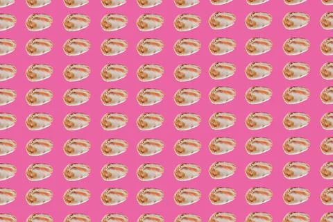 Collage of modern art. A repeating pattern of small seashells on a pink backg Stock Photos