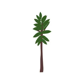 Collage palm doodle drawing Single tree Hand drawn flat vector illustration i Stock Illustration
