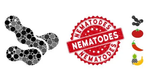 Collage Peanuts Icon with Distress Nematodes Seal Stock Illustration