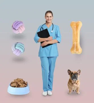 Collage with photos of veterinarian doc, dog, pet food and toys on color back Stock Photos